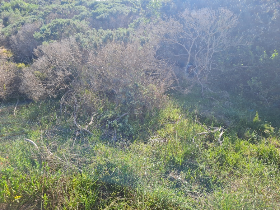 0 Bedroom Property for Sale in Paradise Beach Eastern Cape